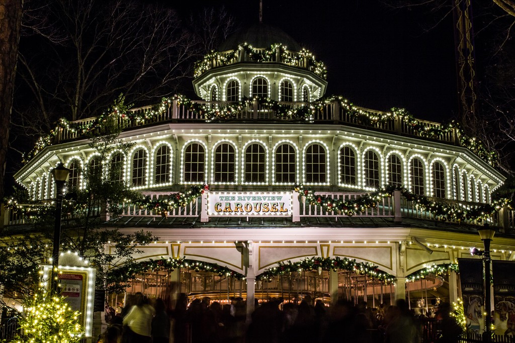 Carousel in Color :) by darylo