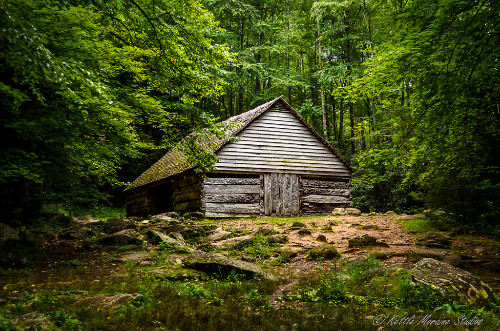 cabin in the woods by myhrhelper
