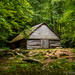 cabin in the woods by myhrhelper