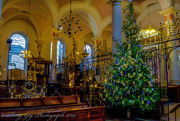 10th Dec 2014 - Christmas Tree