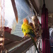 Neighbourhood watch parrot by alia_801