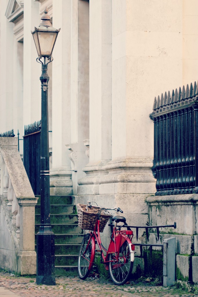 Red bike at the Senate House by judithg