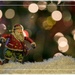 Skiing Santa by lynne5477