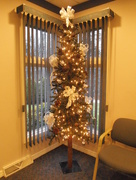 10th Dec 2014 - Christmas Tree at the Dentist Office
