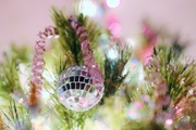 11th Dec 2014 - Christmas Tree Glow