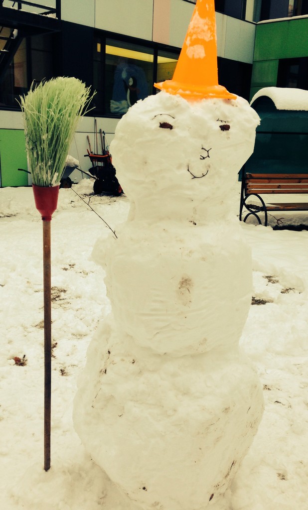 Do you wanna build a snowman? by sarahabrahamse