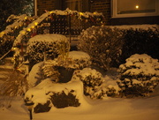 11th Dec 2014 - It Snowed!