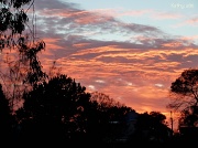 28th Oct 2010 - Sunrise