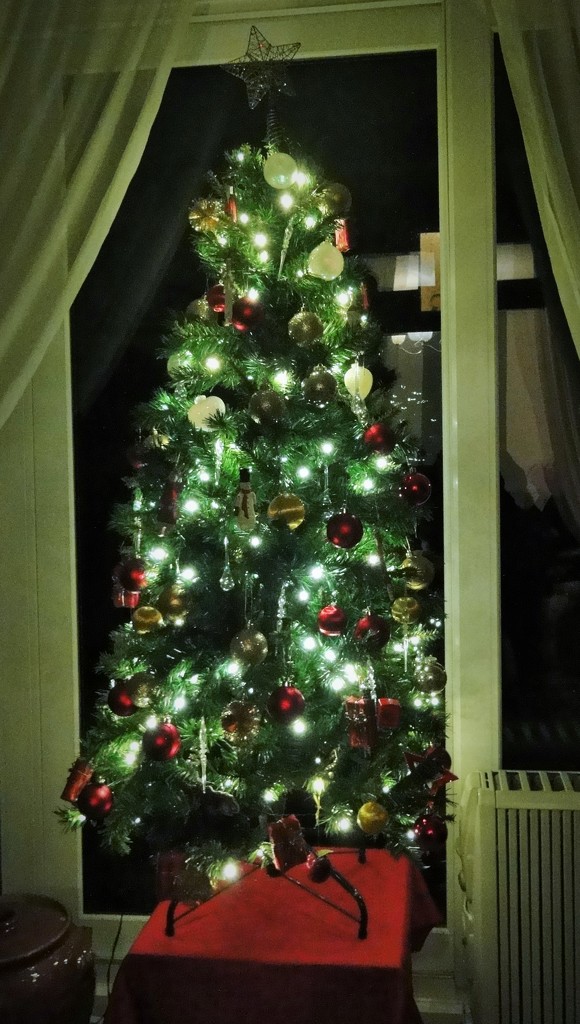 Christmas tree -- ( partly dressed)!!  by beryl