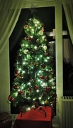 12th Dec 2014 - Christmas tree -- ( partly dressed)!! 