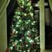 Christmas tree -- ( partly dressed)!!  by beryl