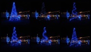 12th Dec 2014 - Festival of Lights -- blue tree