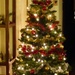 Christmas Tree Number 1 by susiemc