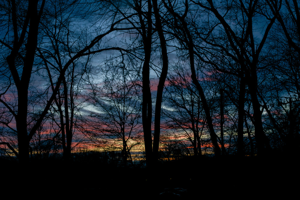 Winter sunset by loweygrace