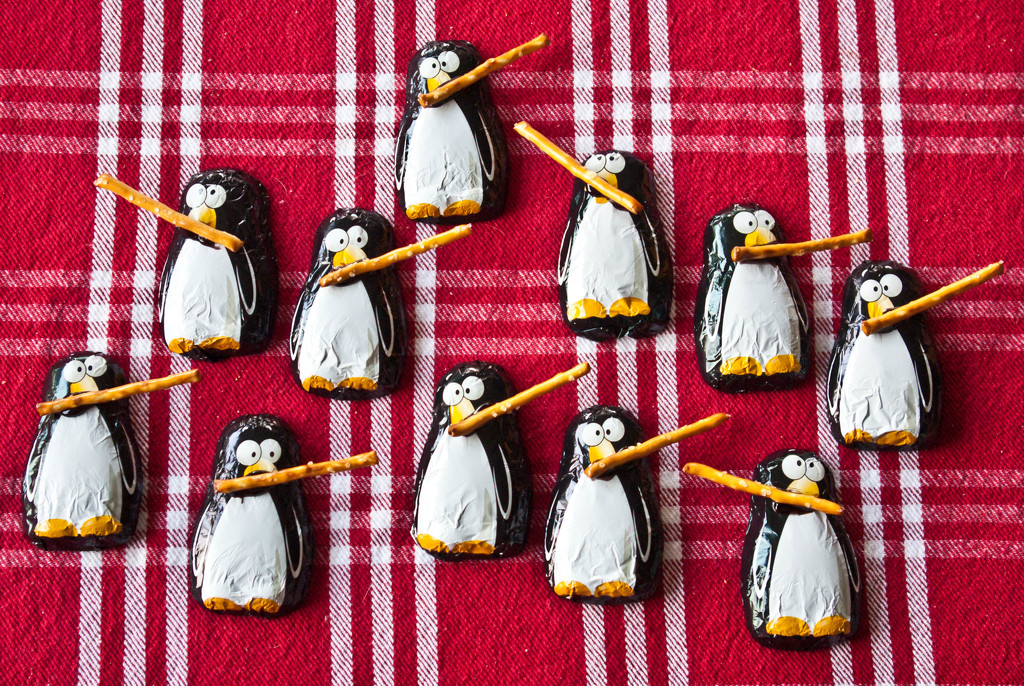 11 Penguins Piping by vickisfotos