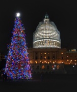 12th Dec 2014 - Capitol Christmas