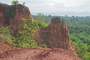 6th Dec 2014 - Rain forest and sandstone