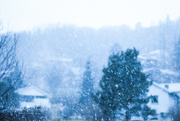13th Dec 2014 - SNOW