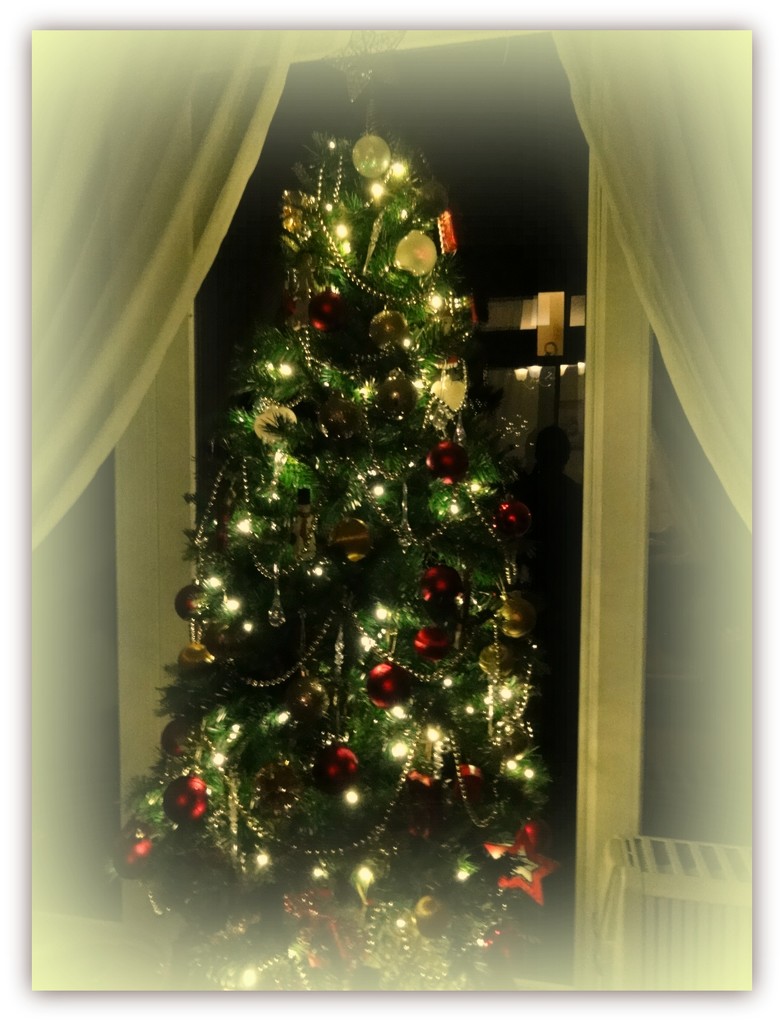 Christmas tree and Selfie  by beryl
