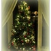 Christmas tree and Selfie  by beryl