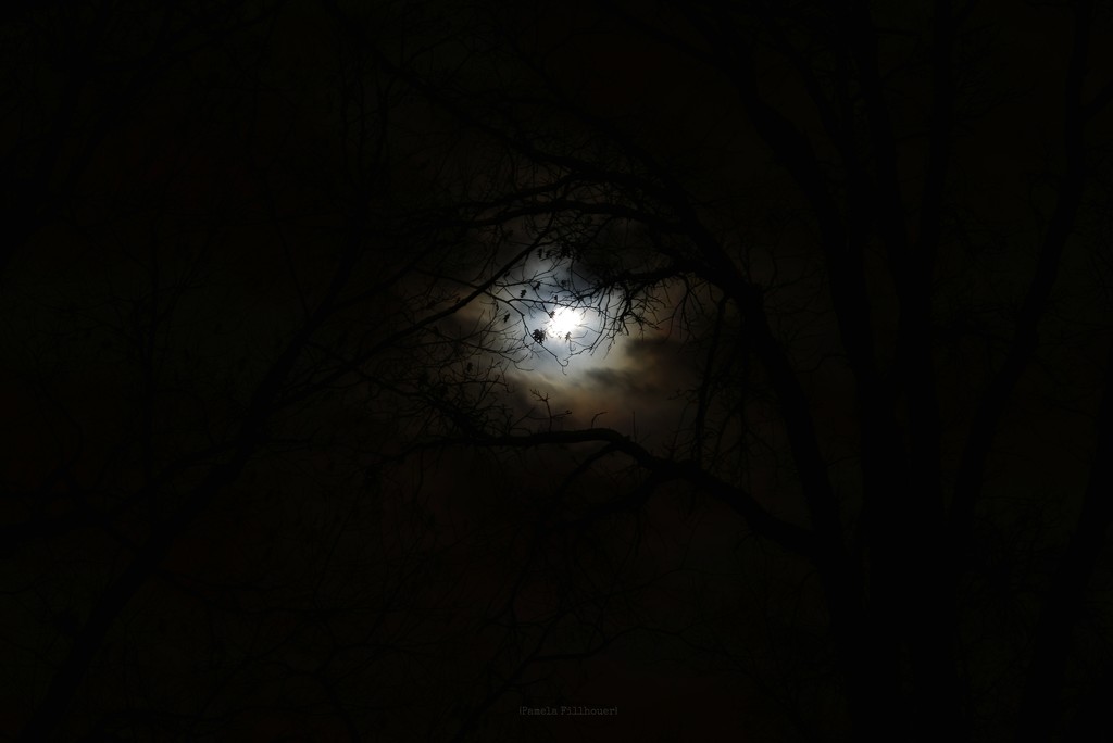 the moon... by earthbeone