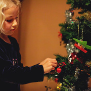 12th Dec 2014 - Decorating the tree