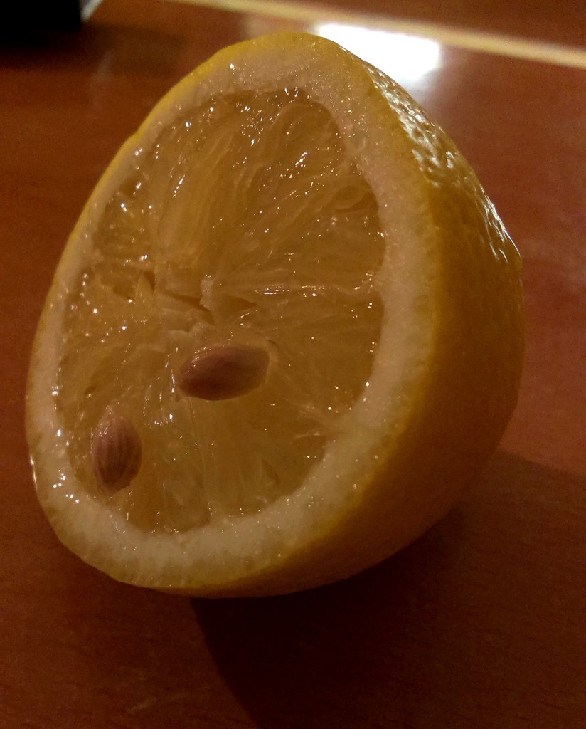 Lemon by pavlina