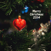 13th Dec 2014 - Merry Christmas 2014