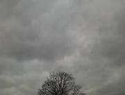 13th Dec 2014 - love the weather, makes me calm