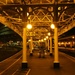 Evening at York Railway Station by fishers