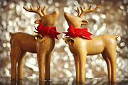 14th Dec 2014 - What's Christmas without the Reindeer?