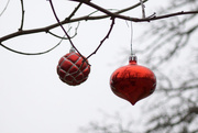 14th Dec 2014 - Ornaments