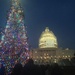 the Capitol Christmas tree by wiesnerbeth