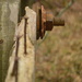 Rusty Nails and Bolt by kareenking