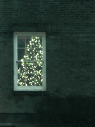 12th Dec 2014 - Christmas Tree in the Window in b&w