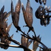 20141213 dried flax flowers by essafel