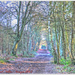 Woodland Path by carolmw