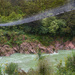 Buller Gorge Swing-bridge, South Island by gosia