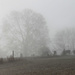 Misty morning by cjwhite