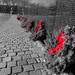 Vietnam War Memorial by khawbecker