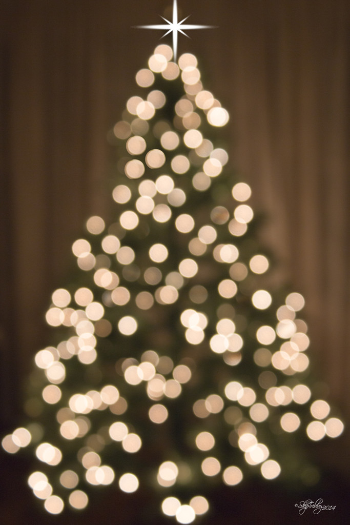 Christmas Tree Bokeh by skipt07