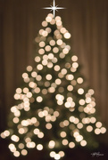 14th Dec 2014 - Christmas Tree Bokeh