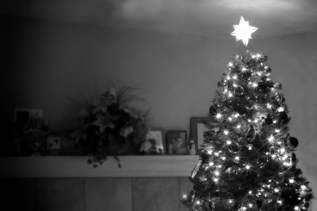 O Christmas Tree by tina_mac