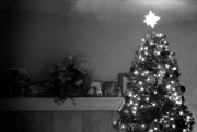 15th Dec 2014 - O Christmas Tree