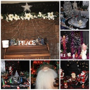 15th Dec 2014 - Christmas joy for hospice