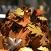 chocolate leaves by parisouailleurs