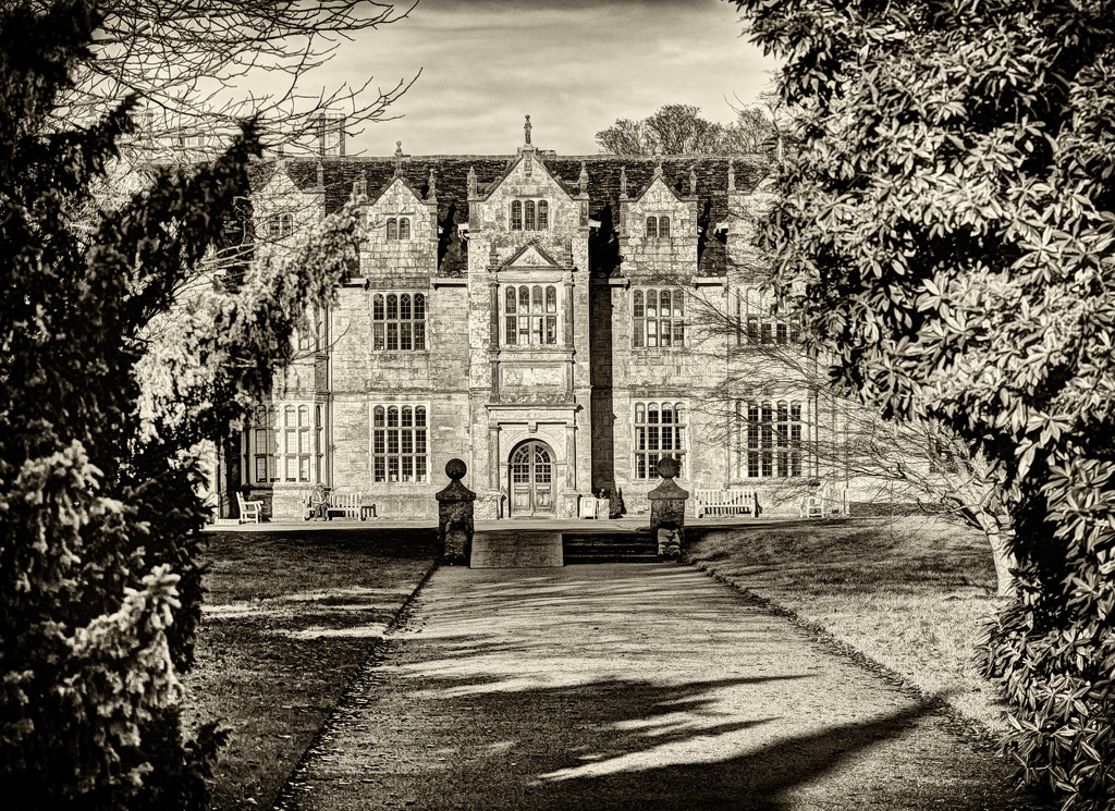 16th December 2014 - Wakehurst Place by pamknowler