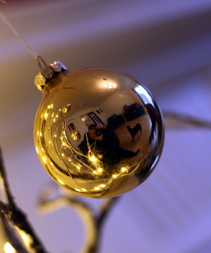 Golden Bauble by phil_howcroft