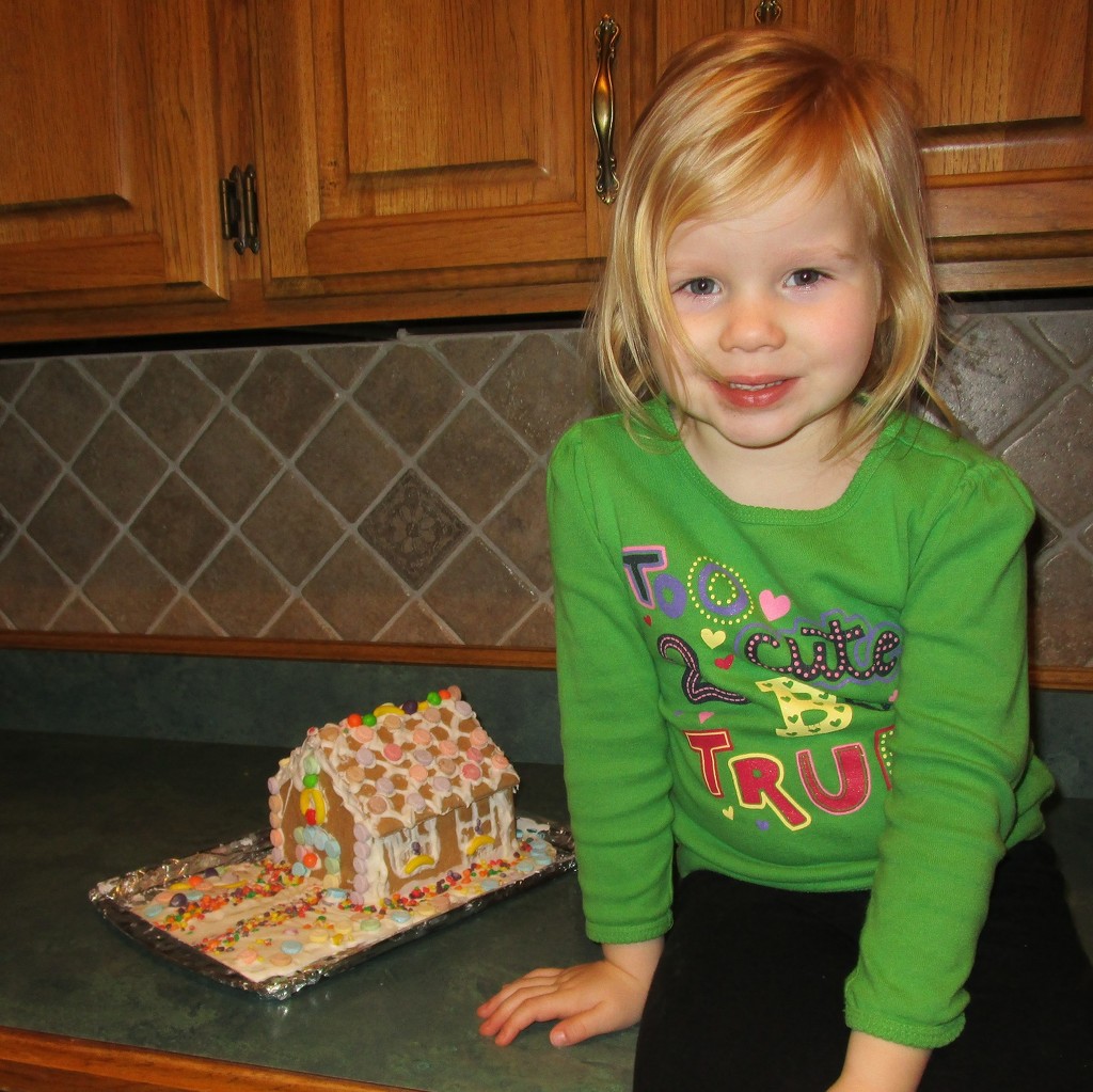 Maryn's Gingerbread House by tunia