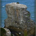 Gannet colony by dide